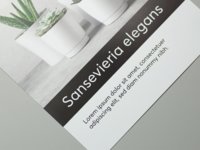Papier-Flyer mit einseitiger Lackierung.