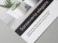 Papier-Flyer mit matter Zellophanierung auf einer Seite.