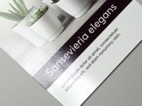 Papier-Flyer mit glnzendem UV-Lack auf einer Seite.