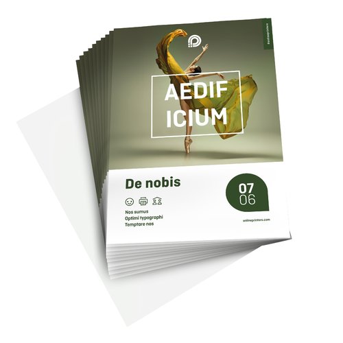 Flyer, A4, einseitig bedruckt 1