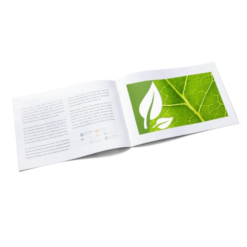 Naturpapier Broschre mit mehreren Seiten und Rckstichheftung.