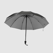 Taschenschirm Coronel