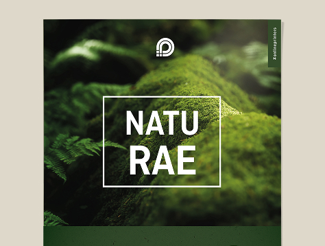 Plakate ko- und Naturpapiere