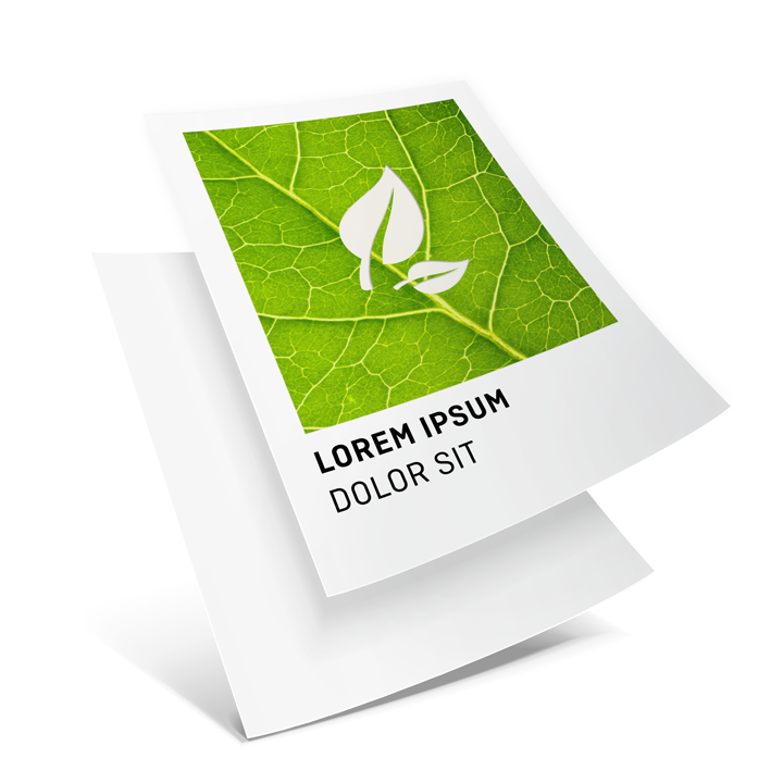 Bild Ökologisch wertvoll: Unser Topseller aus Recyclingpapier