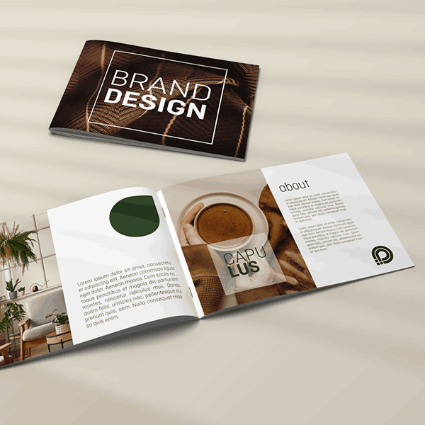 Bild Aufgeschlagene Broschüre im Corporate Design