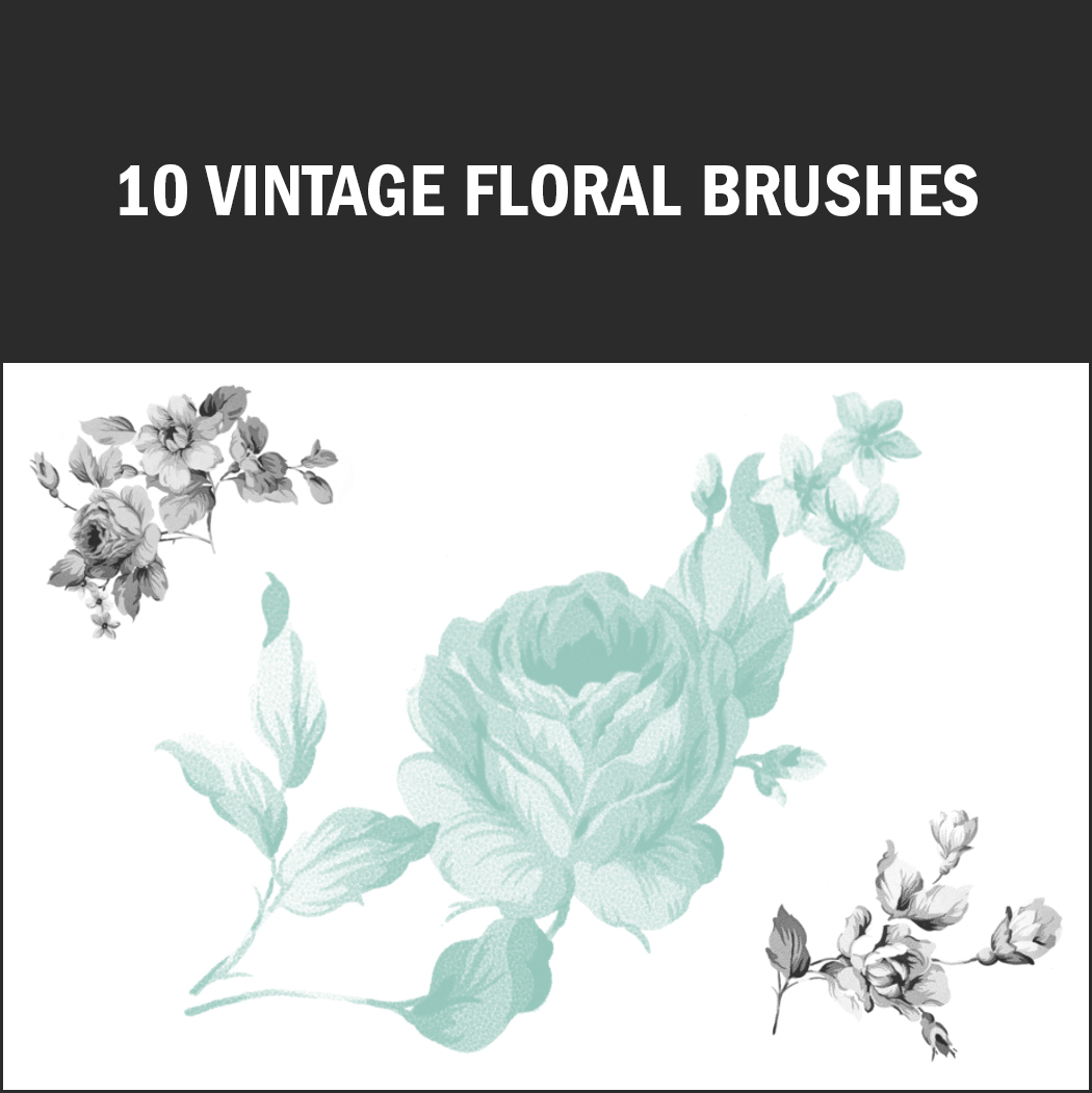 Dieses Brush-Set erinnert an alte Porzellanmalereien.