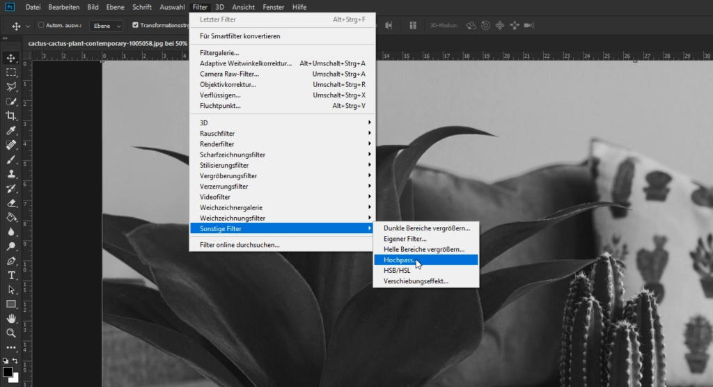 Screenshot einer Photoshop-Oberfläche in deutscher Sprache. Das Menü „Filter“ ist geöffnet, die Option „Sonstiger Filter“ ist hervorgehoben und zeigt Unteroptionen wie „Hochpass“. Im Hintergrund ist ein Graustufenbild einer Pflanze und eines Blumenkissens zu sehen.