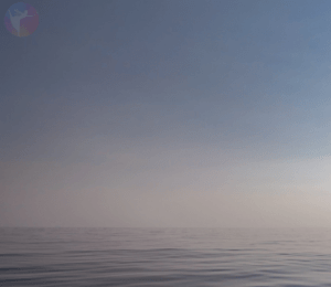 Das ruhige Meer mit sanften Wellen rollt unter einem Himmel mit Farbverlauf, der von Blau zu einem blassen Horizont übergeht. Diese Szene strahlt Ruhe und eine weite, heitere Atmosphäre aus und erinnert an *Bewegte Bilder*, die den friedlichen Tanz der Natur einfangen.