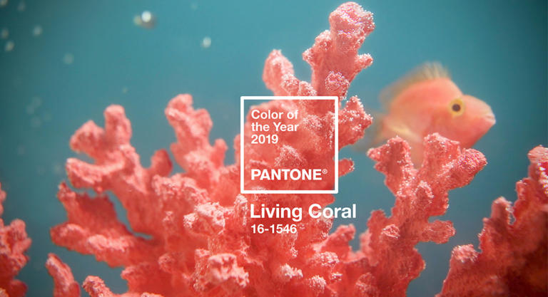 Die Pantone-Farbe des Jahres 2019