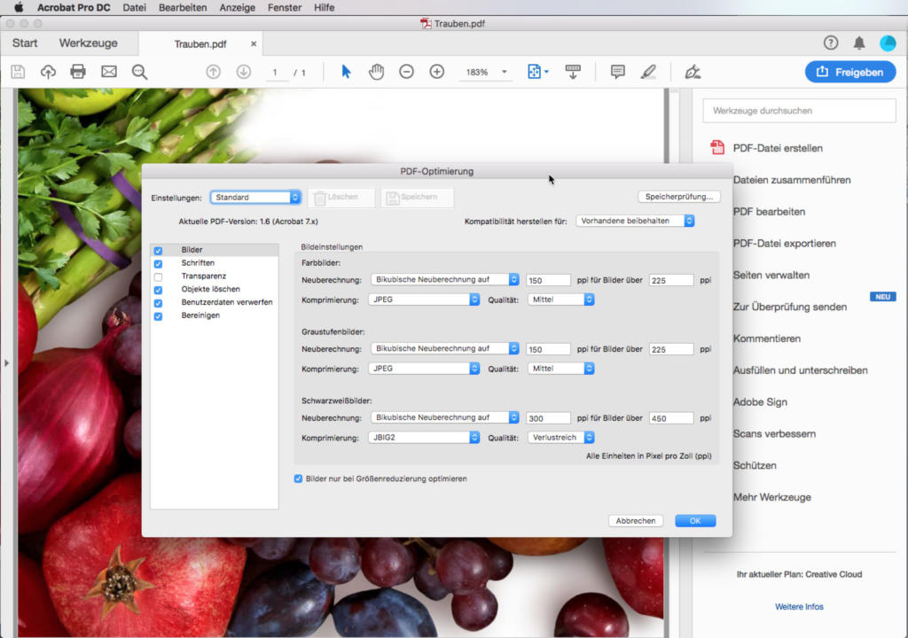 Auf einem Computerbildschirm wird Adobe Acrobat mit einer geöffneten PDF-Datei angezeigt. Im Vordergrund befindet sich ein Popup-Fenster mit dem Titel „PDF-Optimierung“, in dem verschiedene Optimierungseinstellungen angezeigt werden. Im Hintergrund zeigt die PDF-Datei Bilder von Früchten wie Trauben und Granatäpfeln.