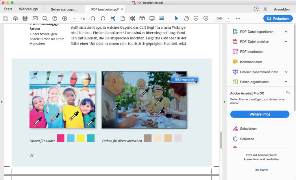 Screenshot einer PDF-Bearbeitungssoftware mit zwei Bildern. Links: vier Kinder in bunten T-Shirts mit Mikrofonen. Rechts: ältere Erwachsene sitzen um einen Tisch und genießen Tee und Snacks. Unter beiden Bildern befinden sich Farbfelder.