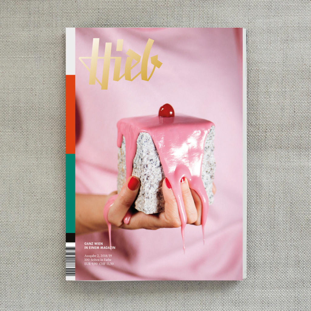 Eine Person hält einen mit rosa Zuckerguss überzogenen Stein mit einer Kirsche darauf vor einem rosa Hintergrund. Das Bild ist auf dem Cover der Zeitschrift „Hieb“ zu sehen.