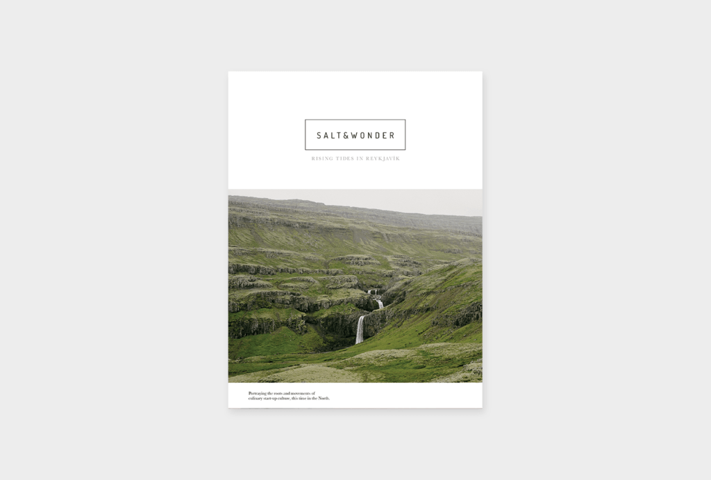 Das Magazincover mit dem Titel „Salt & Wonder“ zeigt eine üppig grüne Landschaft mit einem kleinen Wasserfall in der Mitte. Der Slogan lautet „Aufstrebende Trends in Reykjavik“. Das Bild zeigt eine ruhige, natürliche Umgebung unter einem grauen Himmel.