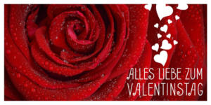 Nahaufnahme einer roten Rose, geschmückt mit Wassertropfen, ergänzt durch vertikal aufsteigende Herzen. Die Botschaft „Alles Liebe zum Valentinstag“ ziert die Szene und bietet eine exquisite Valentinstagsvorlage, um Ihre Liebe zu teilen.