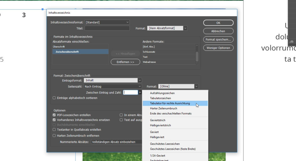 Ein Computerbildschirm zeigt ein Softwarefenster mit Optionen zur Formatierung eines Inhaltsverzeichnisses. Verschiedene Dropdown-Menüs und Schaltflächen zur individuellen Anpassung sind sichtbar, darunter auch Optionen für Stile und Formate. Ein unscharfer Hintergrund ist teilweise sichtbar.