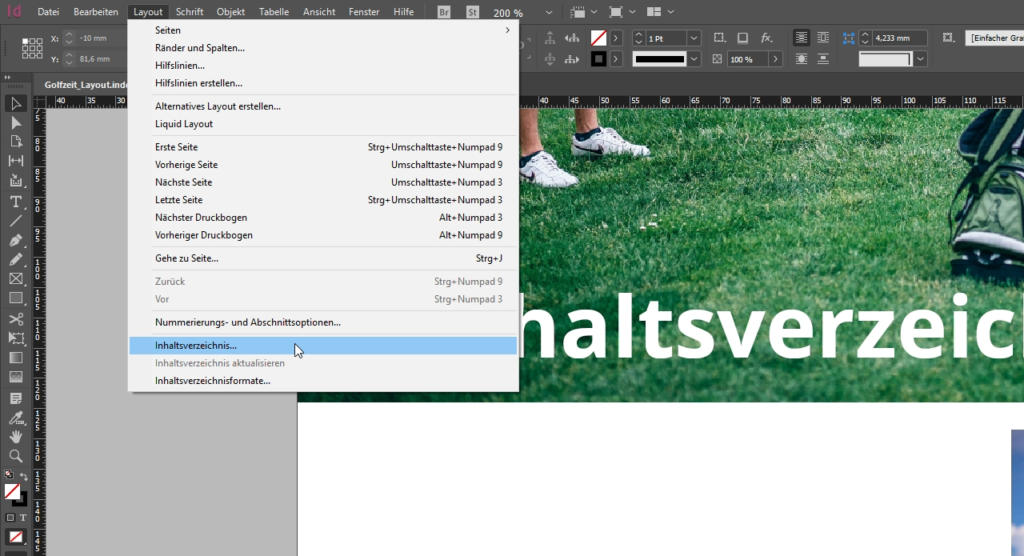 Screenshot einer Desktop-Publishing-Software, die ein teilweise sichtbares Fenster mit Optionen auf Deutsch zeigt. Das Hintergrundbild im Arbeitsbereich zeigt grünes Gras und einen Teil des Beins und der Schuhe einer Person. Großer Text ist teilweise sichtbar.