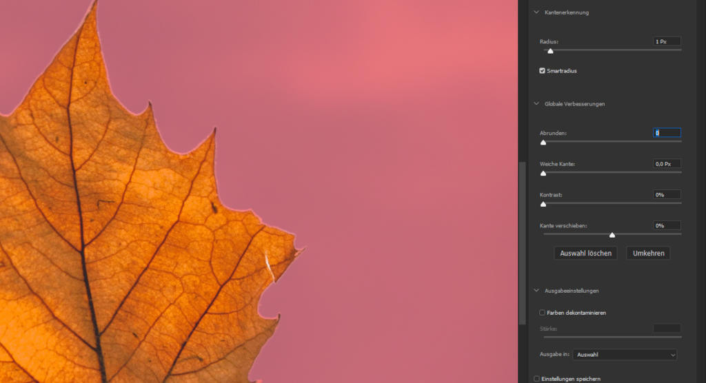 Nahaufnahme eines Herbstblattes mit feinen Adern vor rosa Hintergrund. Rechts ist eine Bearbeitungssoftware mit Optionen wie Radius, Kontrast und Weichzeichnung sichtbar.