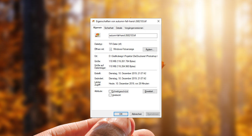 Nahaufnahme einer Hand, die einen Computerbildschirm mit Dateieigenschaften hält. Das Fenster zeigt Details einer Bilddatei mit dem Namen „autumn-At-Rand-362210.tif“ (deutsch). Der Hintergrund zeigt eine unscharfe Herbstszene mit goldenen Blättern.