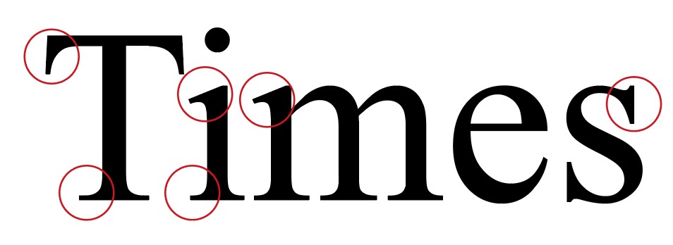 Genauere Abbildung der Schriftart "Times New Roman"