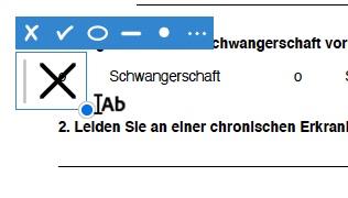 Das Bild zeigt ein Formular, möglicherweise ein PDF zum Ausfüllen, mit Ankreuzfeldern. Der Begriff „Schwangerschaft“ ist mit einem dicken schwarzen X darüber markiert. Frage 2 weist auf eine chronische Erkrankung hin.